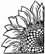 Sunflower Corner Drawing Drawings Linocut Lino Stencil Flower Print Line Doo Woodle Template Patterns Wood Girasoles Burning Dibujos Sunflowers Prints sketch template