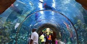 Aquarium of the Americas Hometown Tourist