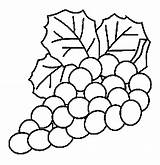 Coloring Grapes Pages Coloringtop sketch template