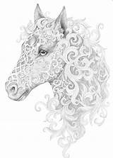 Colouring Horse Cavallo Criniera Mythical Testa Tatuaggio Ausmalen Creature Grown Eckersleys Zentangle Grayscale sketch template