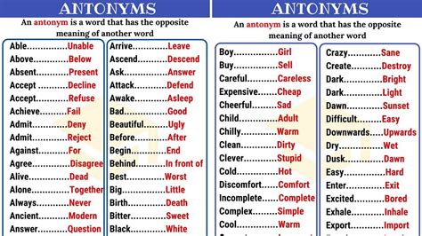an alphabetical list of words and their synonyms is a iammrfoster
