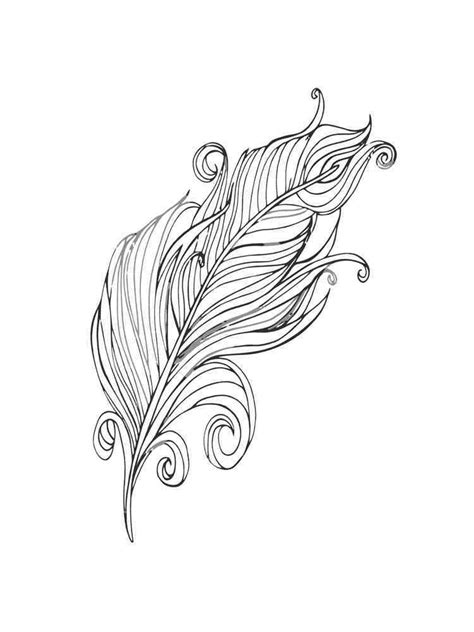 feathers coloring pages