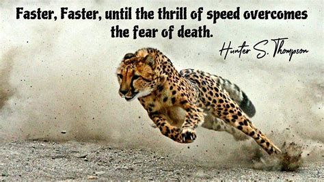 Faster Faster Until The Thrill Of Speed Overcomes The Fear Of Death