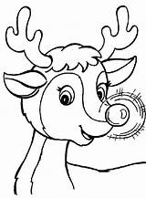 Coloring Reindeer Rudolph Nosed Red Christmas Pages Color Viewed Kb Size Sheets sketch template