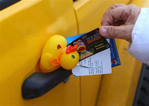 Rubber Ducks On The Dashboard Of Jeeps O T Lounge