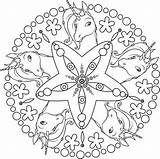Ausmalbilder Einhorn Mandala Mia Mandalas Einhörner sketch template
