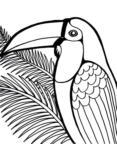 exotic bird coloring pages coloring pages