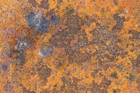 rusty iron stock image image  corrosive mottled rust
