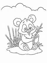 Panda Coloring Pages Mother Printable Bamboo Anime Pandas Nature Sheets Cute Getdrawings Getcolorings Color Baby Print Drawing Giant sketch template