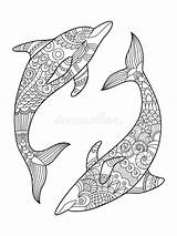 Dolphin Coloring Mandala Adults Zentangle Vector Book Tattoo Adult Clipart sketch template