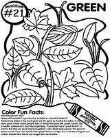 Green Coloring Pages Crayola Au sketch template