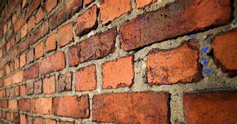 celebrating family stories   build  brick wall