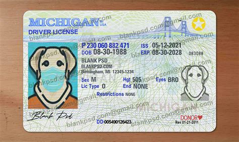 michigan drivers license template psd applicationgase