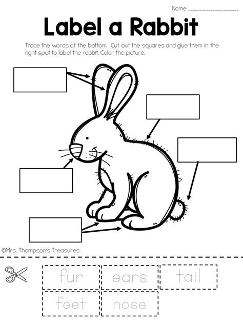 label  rabbit   science activities  easter  spring