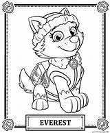 Patrol Everest Coloring Paw Pages Printable Print Color sketch template