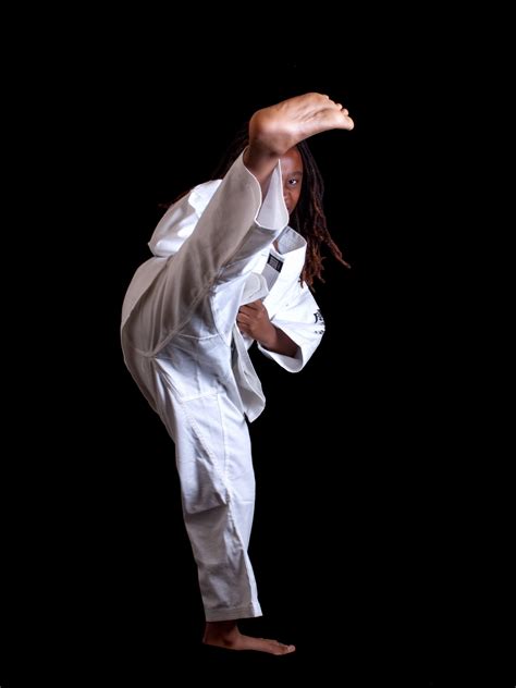 Martial Arts History Shotokan Karate