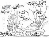 Coloring Fish Tank Aquarium Pages Amazing Netart Getdrawings Line Print sketch template