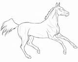 Horse Lineart Teke Akhal Coloring Pages Google Drawings Deviantart Realistic Search Artwork Paint Horses Color Coloringbay Favourites Add Animals sketch template