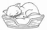 Coloring Pages Sleeping Kitten Print Coloringbay sketch template