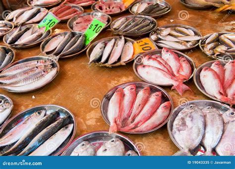 fresh fish   fish market stock image image  cold cool