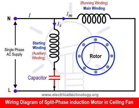 replace  capacitor   ceiling fan  ways   electrical circuit diagram