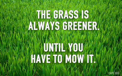 The Grass Is Always Greener Cape Odd