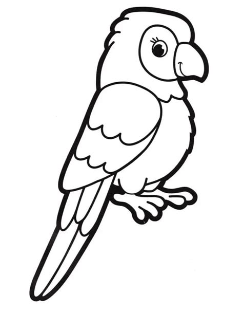 coloriage beau perroquet telecharger  imprimer gratuit sur