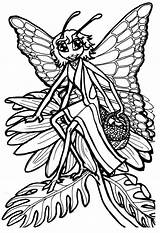 Coloring Queen Butterfly Pages Edupics Large sketch template