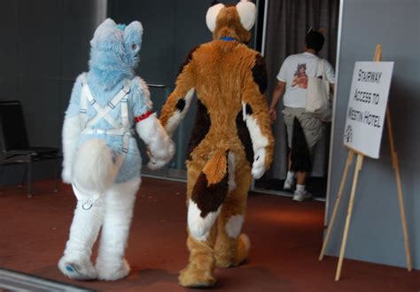 Internet Explorer Podcast The One Where We Finally Talk About Furries