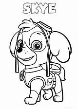 Patrol Paw Pages Coloring Printable Performs Pilot Rescue Puppy Function Girl Raskrasil sketch template