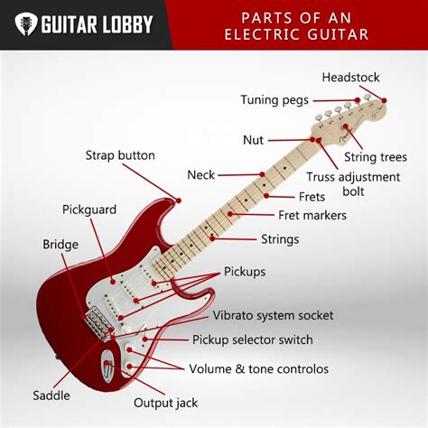 parts   guitar diagram  shopping save  jlcatjgobmx