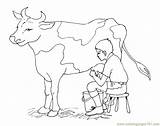 Cow Coloring Pages Milk Printable Kids Dairy Farmer Cows Milking Print Drawing Color Cartoon Colouring Taking Outline Farm Horses Stool sketch template