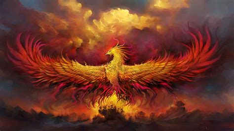 phoenix   burn  emerge phoenix businesses phoenix life  aidan mccullen