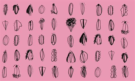 Viva La Vulva Por Qué Debemos Hablar De Los Genitales Femeninos