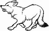 Wolf Coloring Pages Wolves Animals Running sketch template
