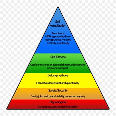 maslow hierarchy of needs diagram maslow pinterest the best porn website