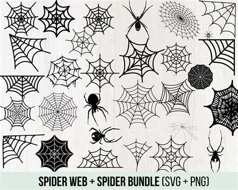 spider web svg bundle spider web clipart spider web svg  etsy