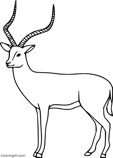 impala coloring pages coloringall