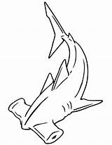 Shark Hammerhead Coloring Pages Drawing Outline Kids Cartoon Template Printable Tattoo Line Clipart Print Sharks Great Drawings Cliparts Colouring Board sketch template
