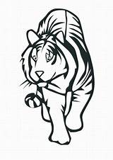 Tiger Pages Coloring Kids Printable Bestcoloringpagesforkids sketch template