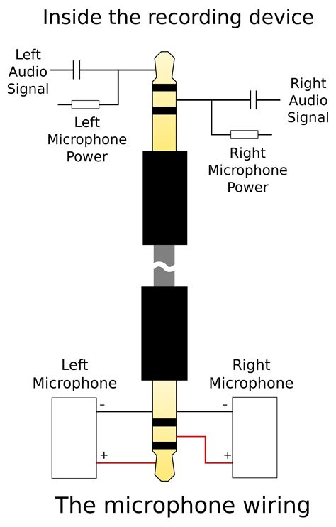 inspirational  pole headphone jack wiring diagram wiring diagram image