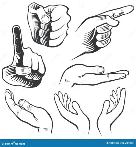 hands   positions stock vector illustration   open