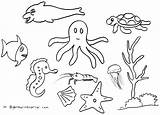 Mewarnai Laut Binatang Hewan Ikan Gambarmewarnai Disimpan Udang sketch template