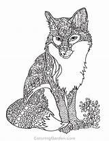Coloring Adult Fox Pages Print Printable Sheets Book Coloringgarden Animal Outline Cat sketch template