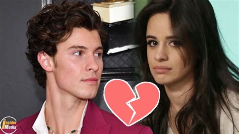 Confirmed The Reason Why Camila Cabello And Shawn Mendes Wanted To