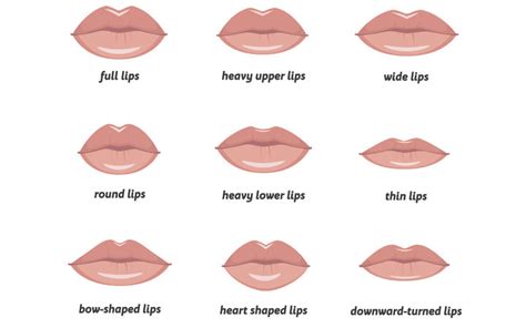 different types of lips ways to make them look flawless skinkraft