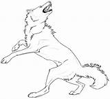 Contortion Angry Lineart Wolf sketch template
