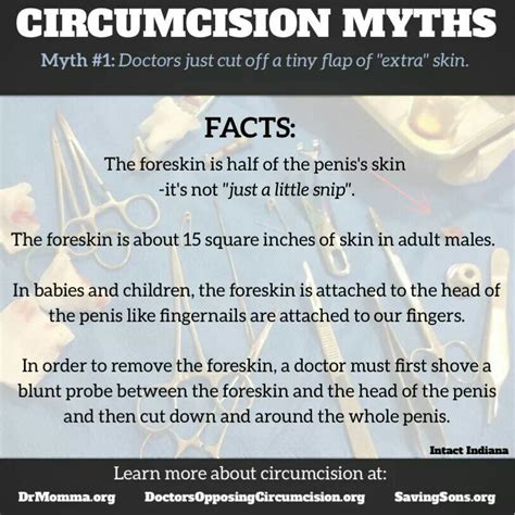 Circumcision Myths Circumcision Psychological Well Being Extra Skin