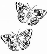 Mariposas Papillon Kolorowanki Motyl Kolorowanka Motyle Kolorowania Dzieci Wydrukowania Gratuit Drukowania Dibujos Darmowe Szukaj Fois Imprimé sketch template