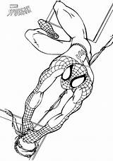 Coloring Swinging Spiderman Spider sketch template